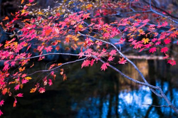 安装步骤示意图